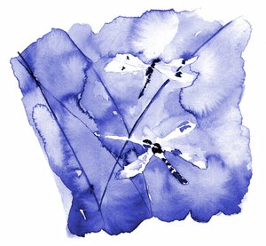 Aquarel: Blauwe libellen