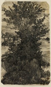 Bosje Bomen met een Dorp in de Verte