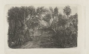 Landschap met beek en bomen op oevers door Rodolphe Bresdin