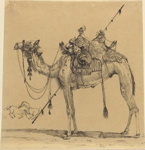 De Kameel