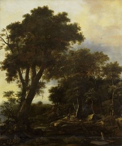 door Roelandt Roghman