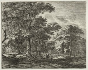 Zes gezichten in het Haagse bos (serie) door Roelant Roghman