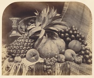 door Roger Fenton