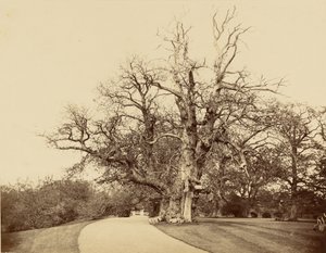  door Roger Fenton