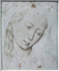 Hoofd van de Maagd