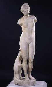 Aphrodite van Cyrene door Roman