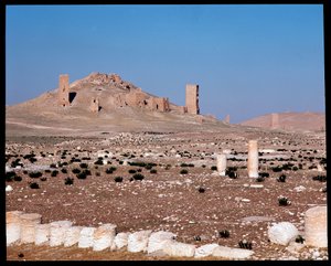 Uitzicht op de torengrafen van Iamblichus en Elahbel door Roman