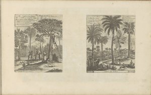 Landschappen met mangobomen, kokos- en palmbomen door Romeyn de Hooghe