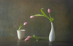 Stilleven met elegante roze tulpen