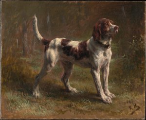 Een Limier Briquet Hound