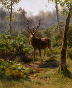 door Rosa Bonheur