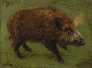 Frans:  Le sanglier Wild zwijn door Rosa Bonheur