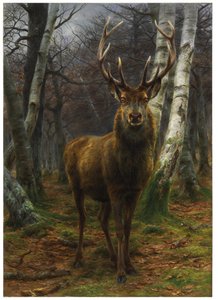 Koning van het Woud, 1878 door Rosa Bonheur