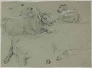 Schetsen van Koeien door Rosa Bonheur