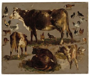 Studies van Koeien, Hennen, Hanen, een Gans en een Schaap