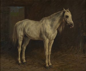 Wit paard door Rosa Bonheur