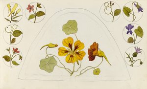 Ontwerpen met Oost-Indische kers en andere bloemen