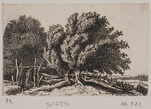 Landschap
