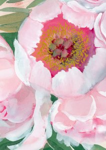 Roze pioenroos door Rosana Laiz Blursbyai