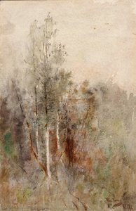 Een boomstudie door Ross Turner