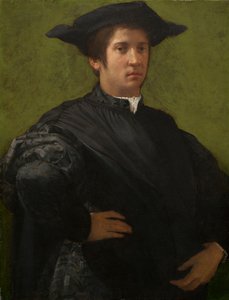 Portret van een Man door Rosso Fiorentino