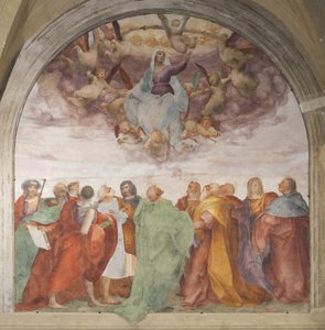 De tenhemelopneming van de Heilige Maagd Maria door Rosso Fiorentino