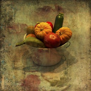  door Rudi Jacobs