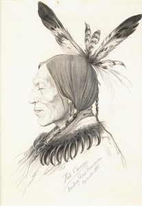 Heu-Topa, Vier Hoorns of Jagoo, De Verhalenverteller, Hoofd van de Hunkpapa Sioux
