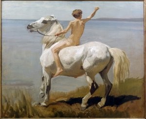 Jongen op een wit paard
