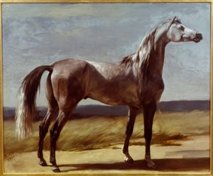 Paard in een landschap