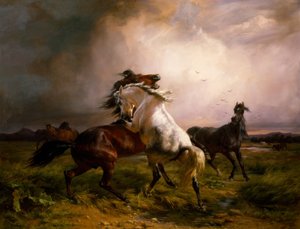 Vechten tegen wilde paarden