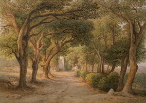 Castel Gandolfo door Rudolf Müller