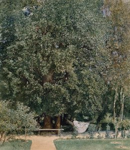 Uit het kuurpark in Tepliz