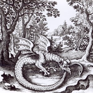 Een Draak in het Bos, uit 