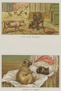 Humoristische honden door S.T. Dadd