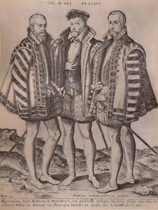 De Gebroeders Coligny