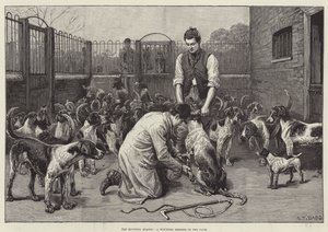 Het jachtseizoen, een gewond lid van de roedel (gravure) door S. T. Dadd