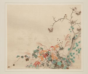 Havik op planten door Sakai Hoitsu