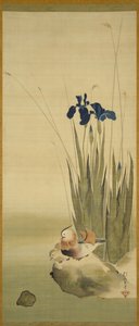 Iris en mandarijneenden door Sakai Hoitsu