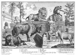 Leeuw en wisentpaar door Salomon Kleiner