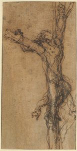Studie voor de kruisiging van Polycrates door Salvator Rosa