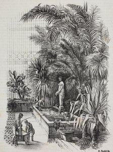 Laocoon en zijn zonen, Romeins standbeeld, lithografie uit Poliorama Pittoresco, nr. 1, 13 augustus door Salvatore Puglia