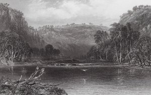 Australië: Aan de Cow Pasture River (gravure) door Samuel (after) Prout