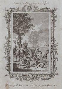 Het Vermoorden van de Druïden en het Verbranden van hun Bossen door Samuel (after) Wale