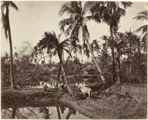 Dorpsgezicht in Bengalen, India door Samuel Bourne (signed by artist)