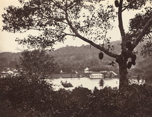 Een blik vanaf Upper Lake Road met tempel en eiland met park - fruitboom op de voorgrond, ca. 1865