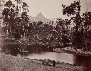 Uitzicht op Ceylon naar Adams Tand