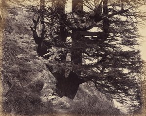  door Samuel Bourne