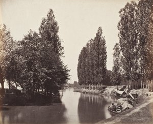 Rivier met bomen (India) door Samuel Bourne