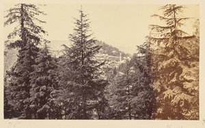 Simla; De kerk door de bomen, van Jakko door Samuel Bourne